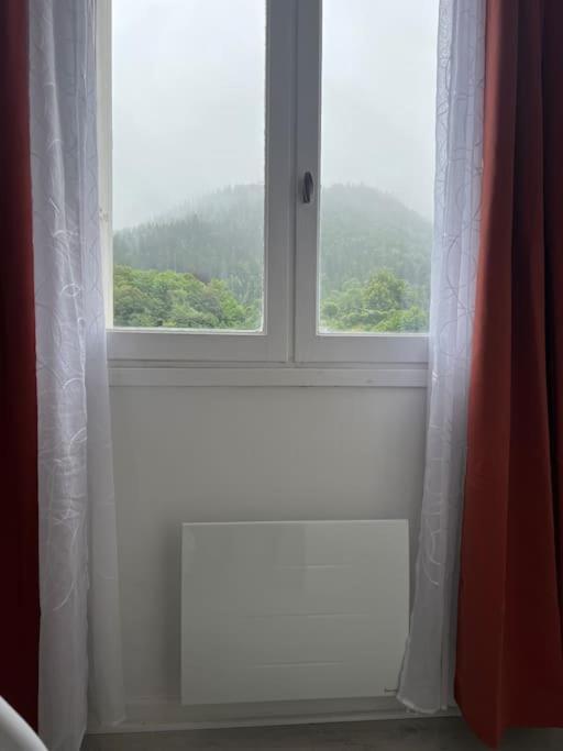 Appartement 3 Pieces Moderne 2 A 6 Personnes La Bourboule Luaran gambar